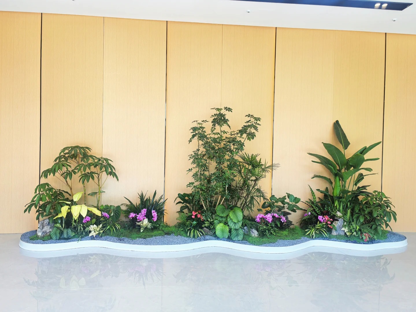 价格实惠的盆景出租，就在宁波余姚！